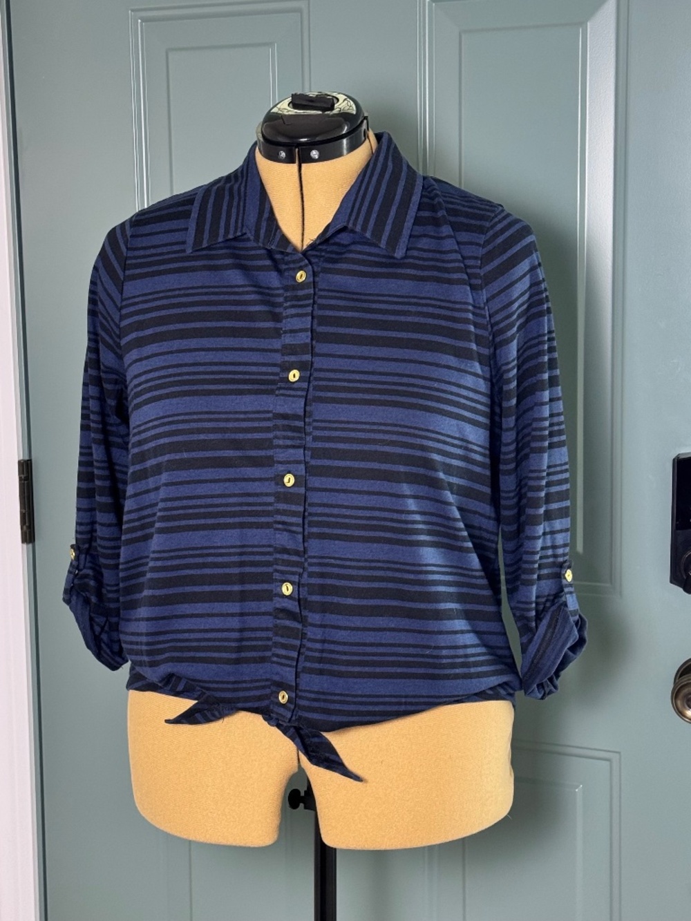 Striped Tie Front Blouse Roll Tab Sleeve Button Front Career Casual Top